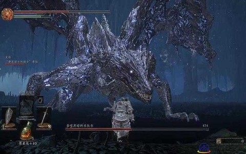 黑暗之魂3黑龙怎么打[图2]