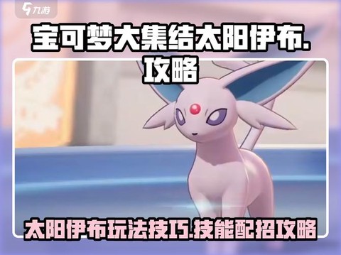 宝可梦太阳怎么刷钱