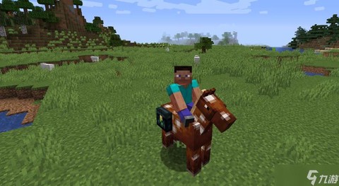 我的世界pe怎么骑马[图2]
