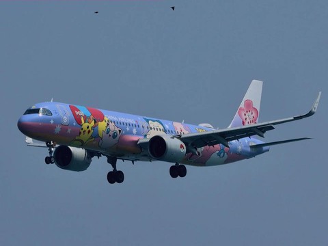 神奇宝贝飞机是什么[图1]