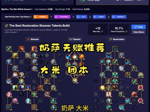 炉石传说奶骑怎么打