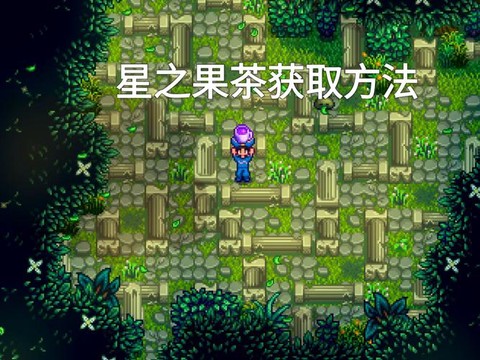 星露谷物语怎么果酱[图2]