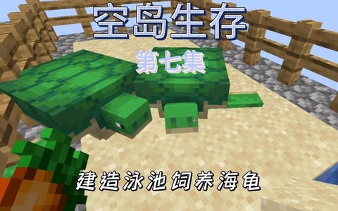 我的世界怎么养海龟