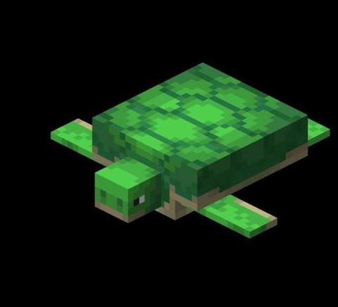 我的世界怎么养海龟[图2]