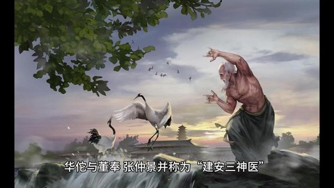 率土之滨华佗怎么用