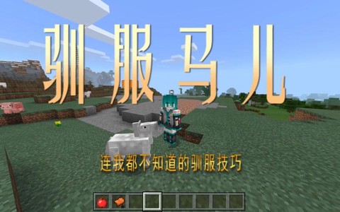 我的世界中怎么驯服马