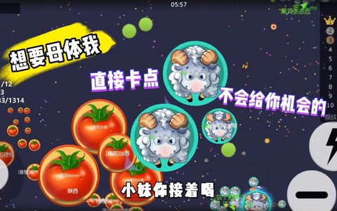 球球大作战母体是什么