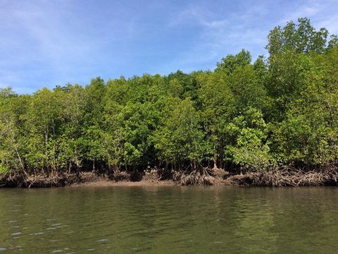 九阴真经蝙蝠洞怎么去